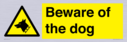 beware-of-the-dog-with-dog-warning-symbol~